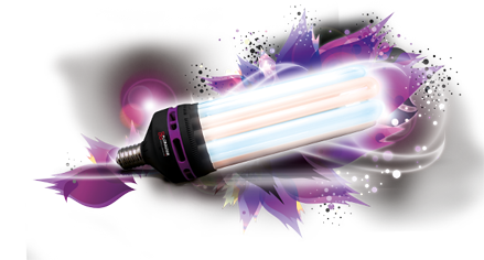 Ampoule CFL dual spectrum 6400°k/2100°k