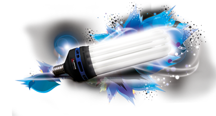 Ampoule CFL grow (croissance) 6400°k