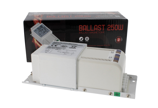 Ballast Black Box 250W IP20 - FLORASTAR