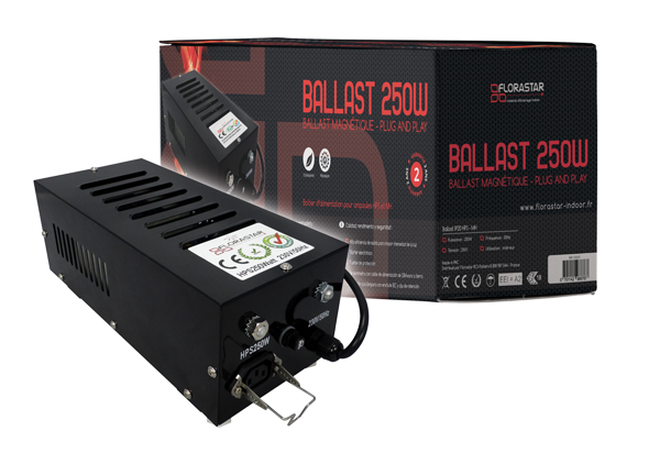 Ballast Black Box 250W IP20 - FLORASTAR