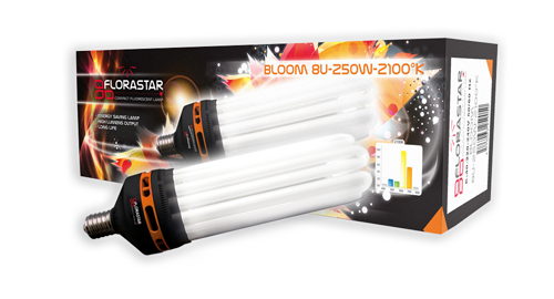 Ampoule CFL bloom (floraison) 2100°k