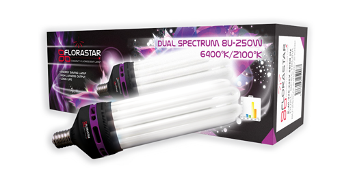 Ampoule CFL dual spectrum 6400°k/2100°k